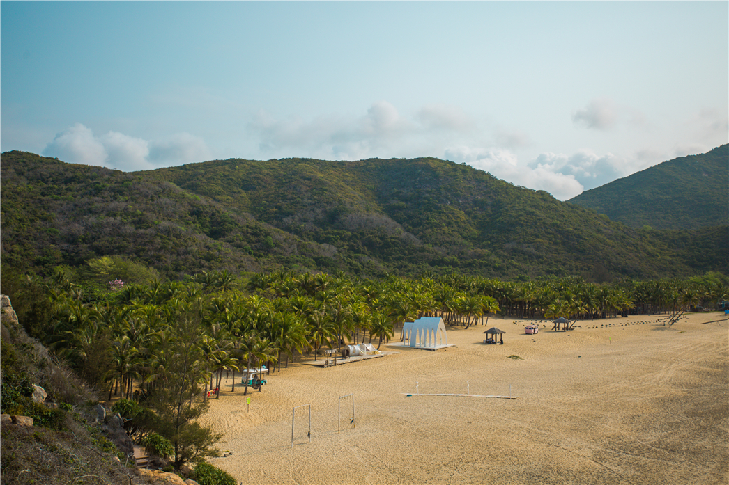 海南必玩猴岛与呆呆丨看萌呆猕猴，呆呆岛发呆