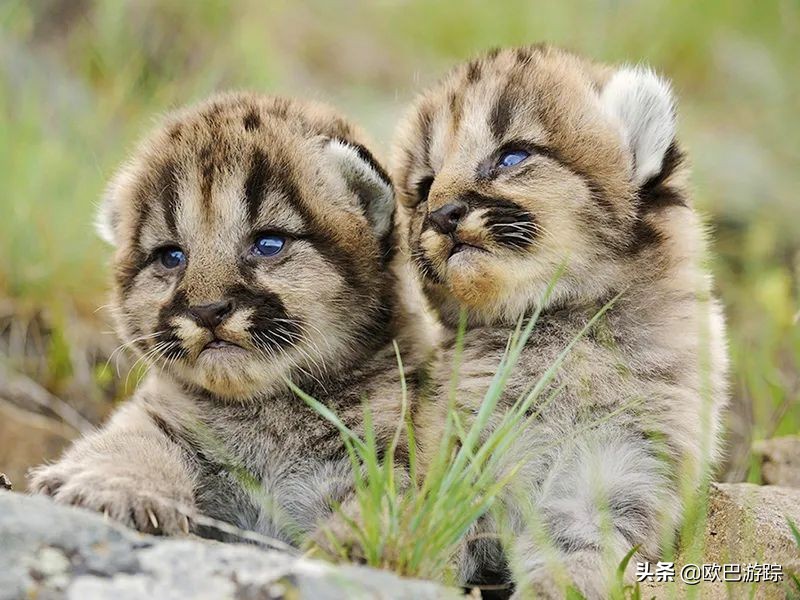 宁波东钱湖花博园酒店,宁波东钱湖亲子度假酒店排名