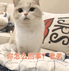 福州郑先生淘宝上花万元买的东西，刚玩2分钟，就被没收了