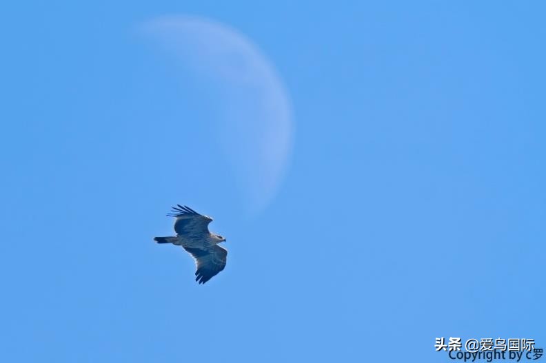 索尼selp1670镜头评测,索尼alpha9镜头