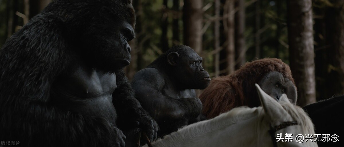 关于热门动作片，你可能不知道的10件事