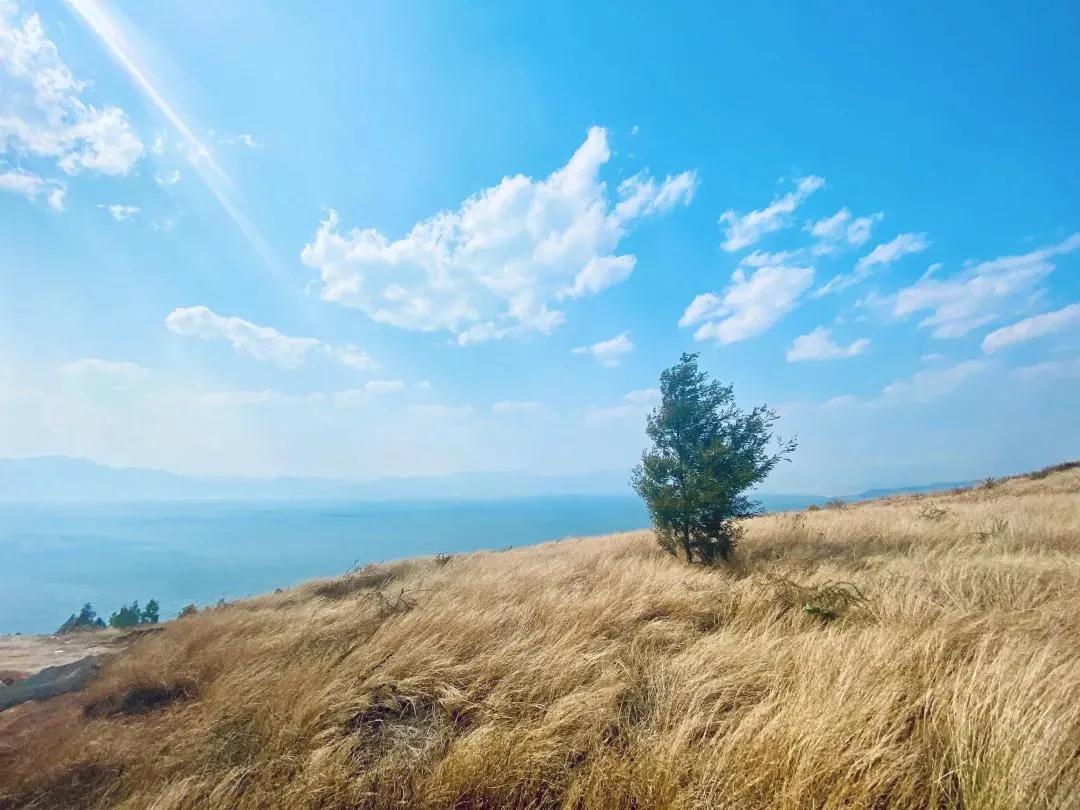 等一个人陪我去湛江,等一个人陪我去旅游