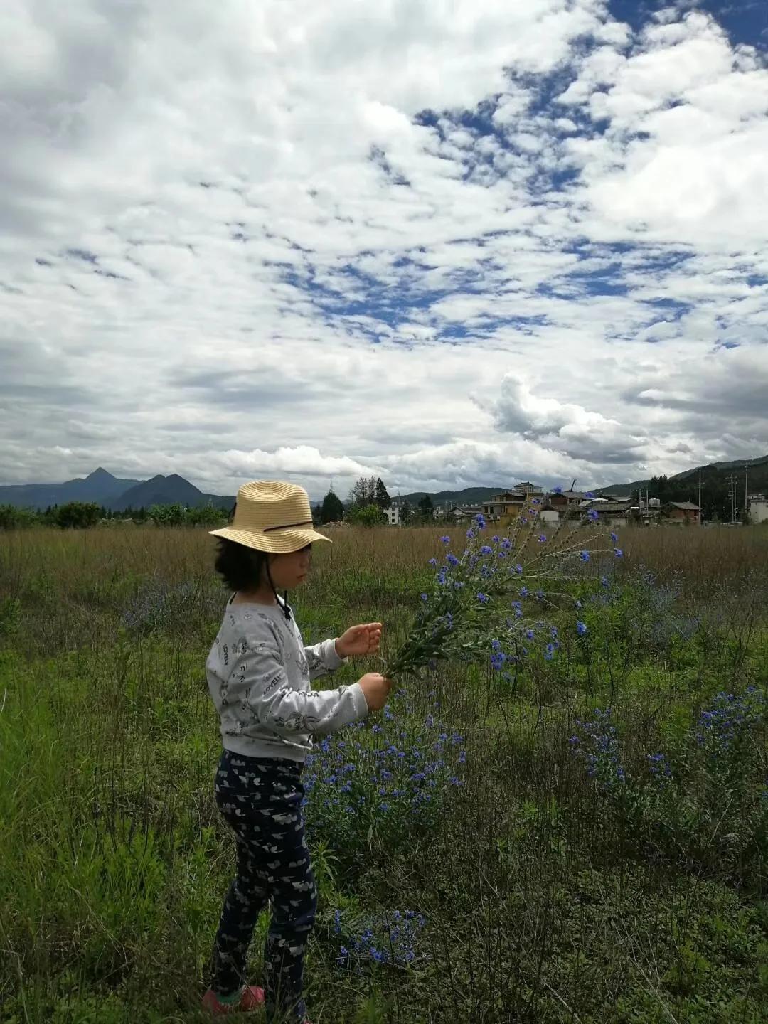 一家三口的田园生活,一家三口在大理的田园边租房15年