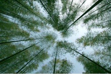 从破产到市值破2万亿,从濒临倒闭到年入1亿