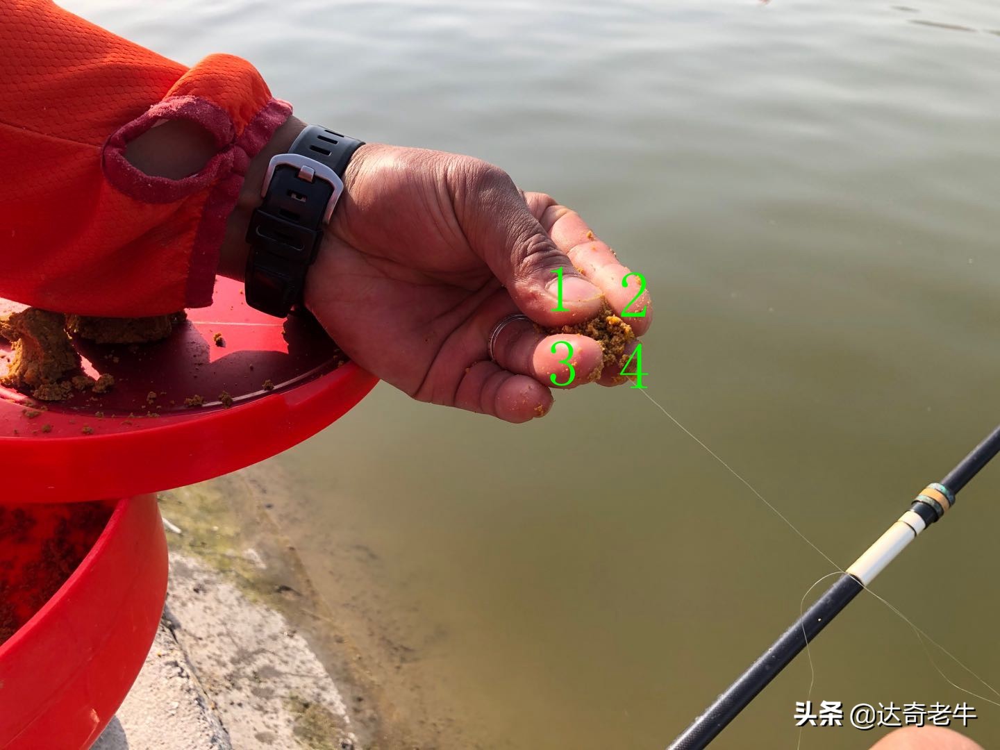 散炮钓底怎么开饵,散炮饵配方大全