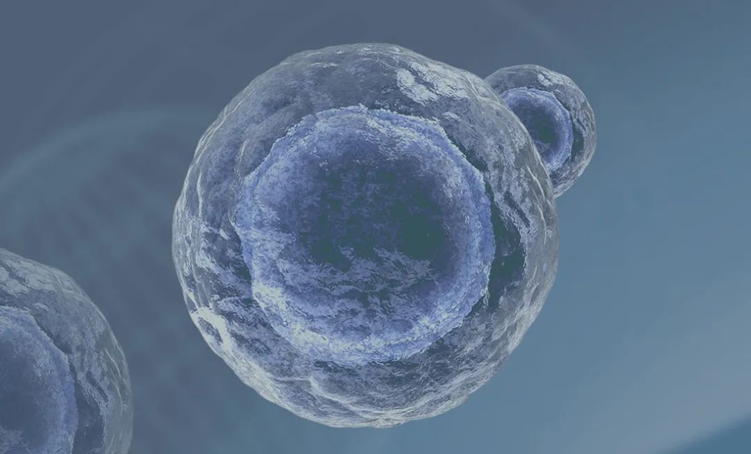 干细胞治疗脑中风效果好吗,干细胞治疗脑中风的最新技术