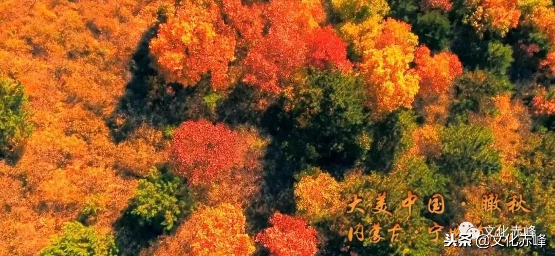 喜大普奔奔小康,喜大普奔可喜可贺