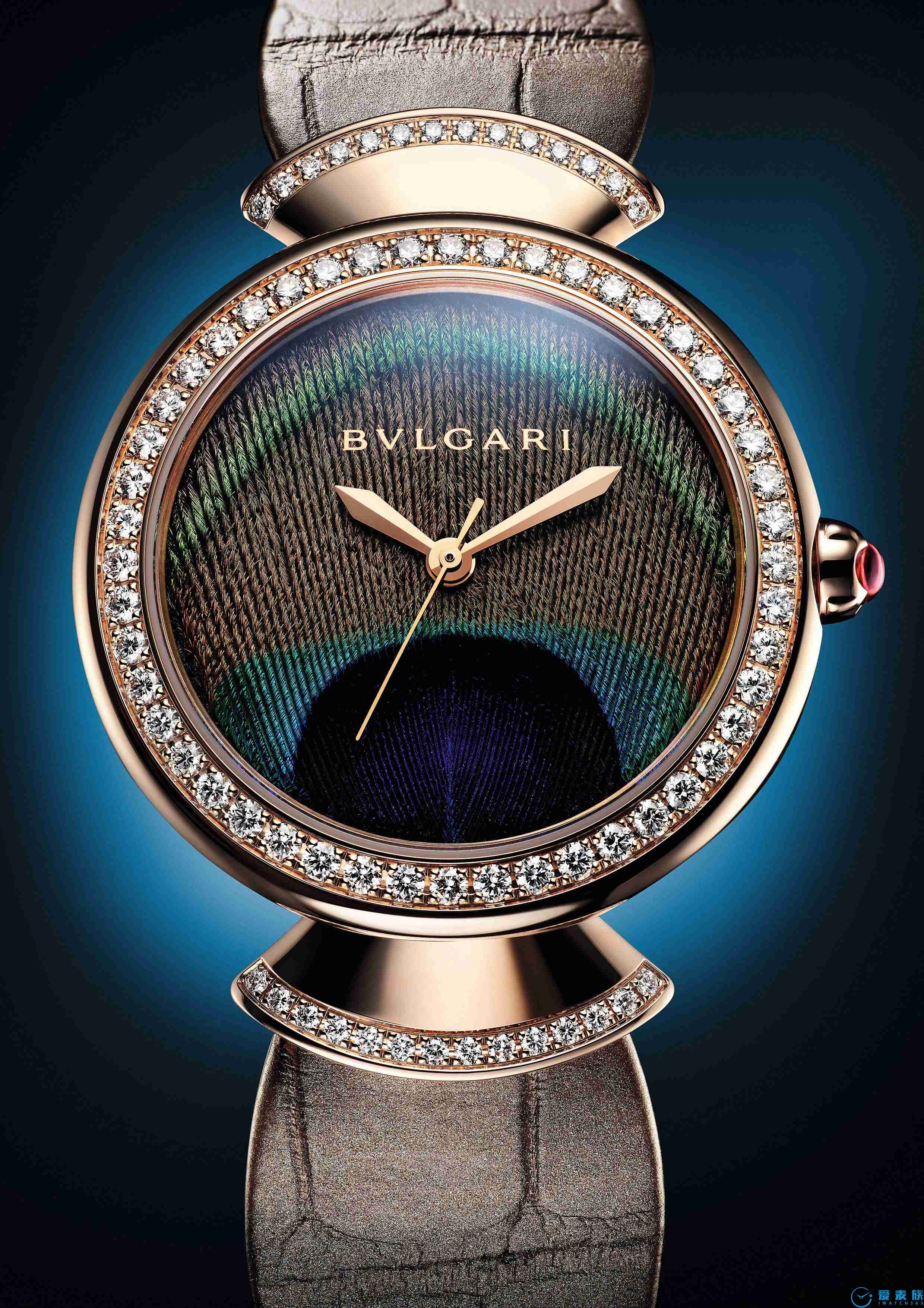 天生是主角,绽放雀之光彩BVLGARI宝格丽Divas’Dream系列腕表