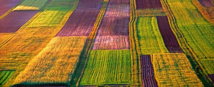 啥是休闲农业,创意休闲农业包括哪些