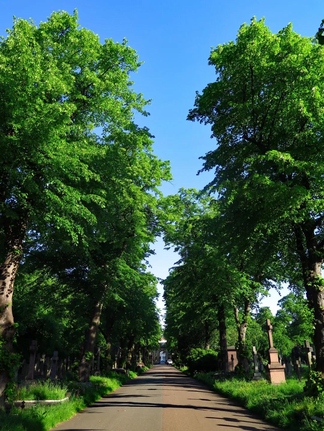 从墓地公园归来,我变罗曼蒂克了