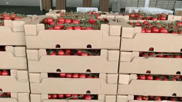 【加快项目建设推进高质量发展】戈壁滩崛起“农业工厂”——古浪越海农业书写古浪现代农业新篇章