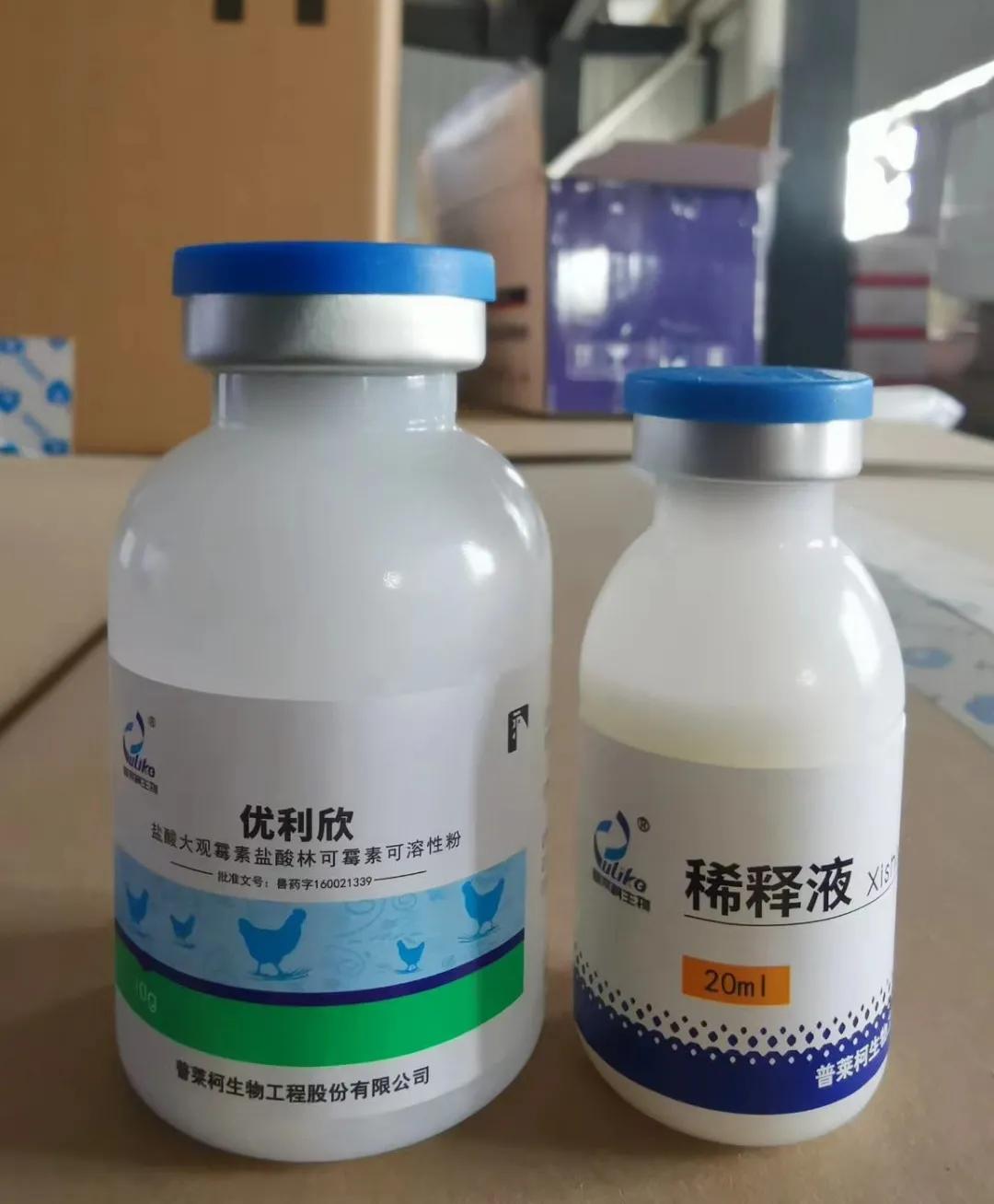 怎样避免蛋鸡发生滑液囊支原体病,蛋鸡支原体滑囊炎最佳治疗方法