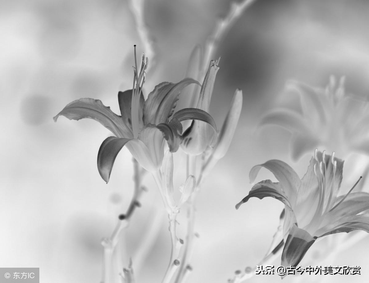 名字这种东西太难取,名字这东西真的很重要吗