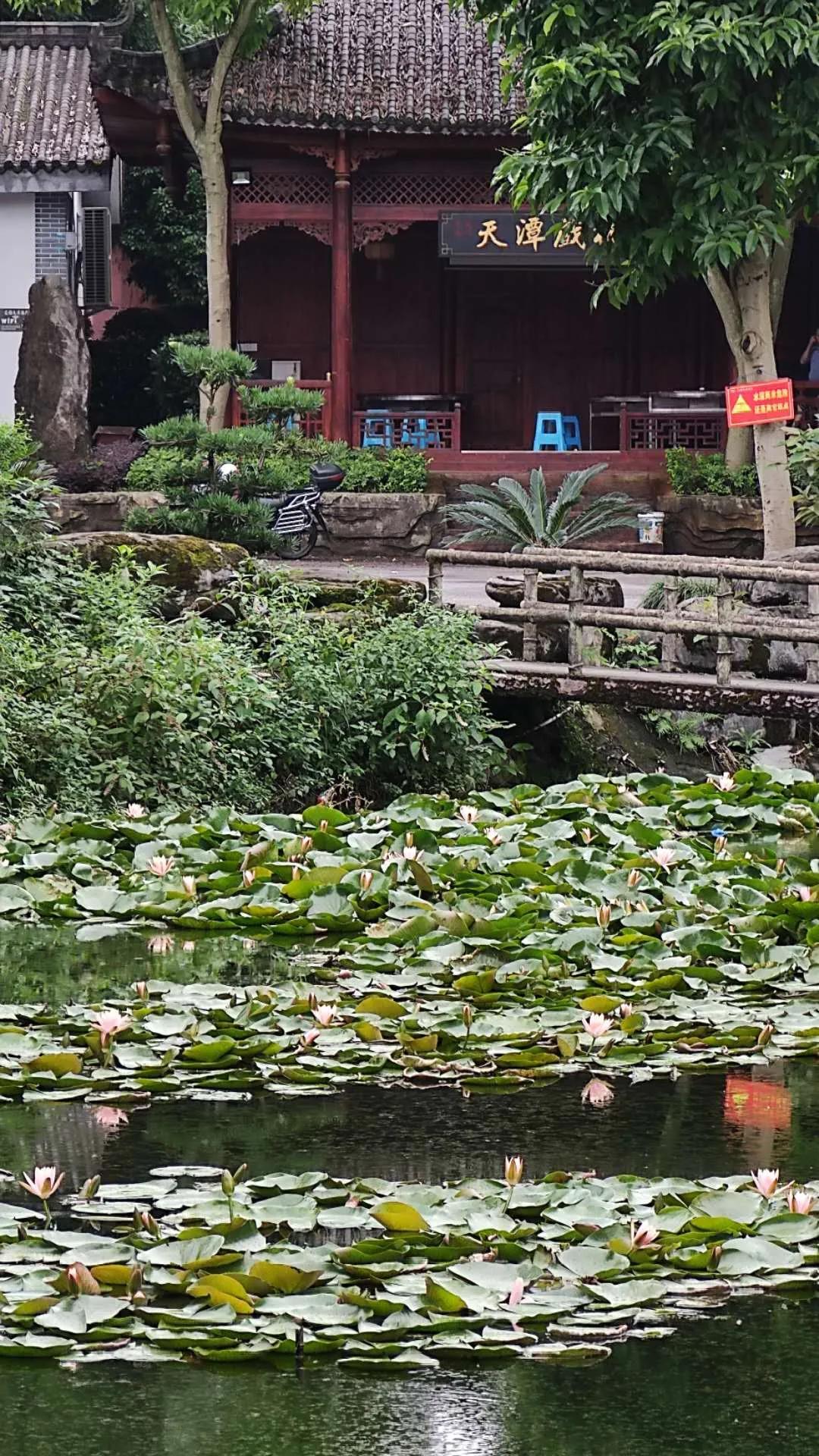 济南惊现黄果树瀑布般美景,惊现黄果树瀑布