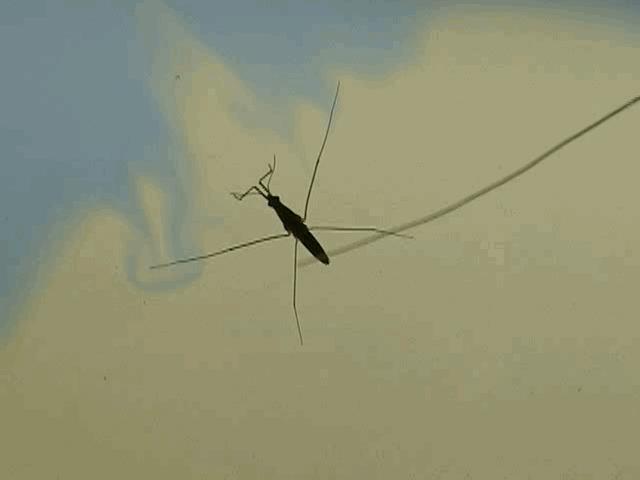 孩子膀胱容量130,儿童最大膀胱容量197正常吗