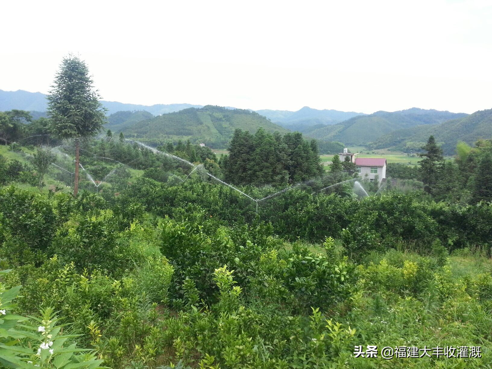 智能灌溉地埋伸缩喷头,大型摇臂喷头360度旋转灌溉