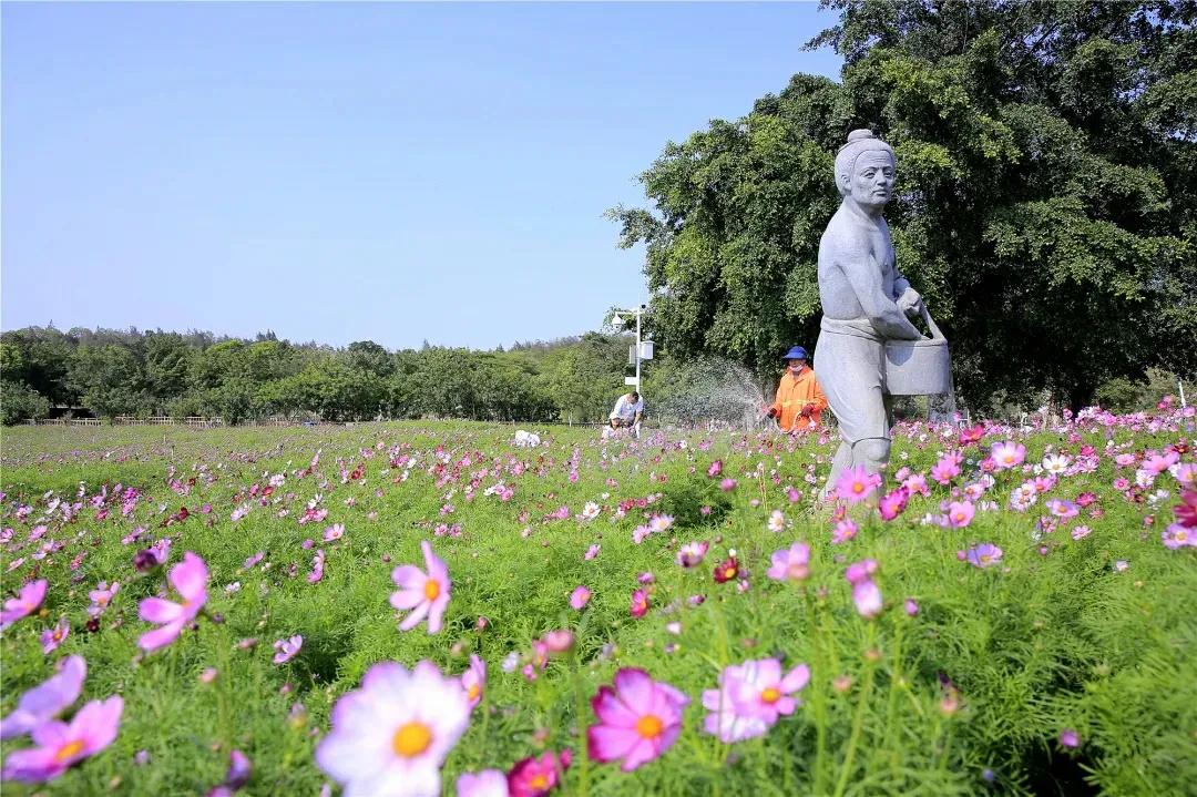 厦门香山有什么风景,厦门翔安必去8个景点香山