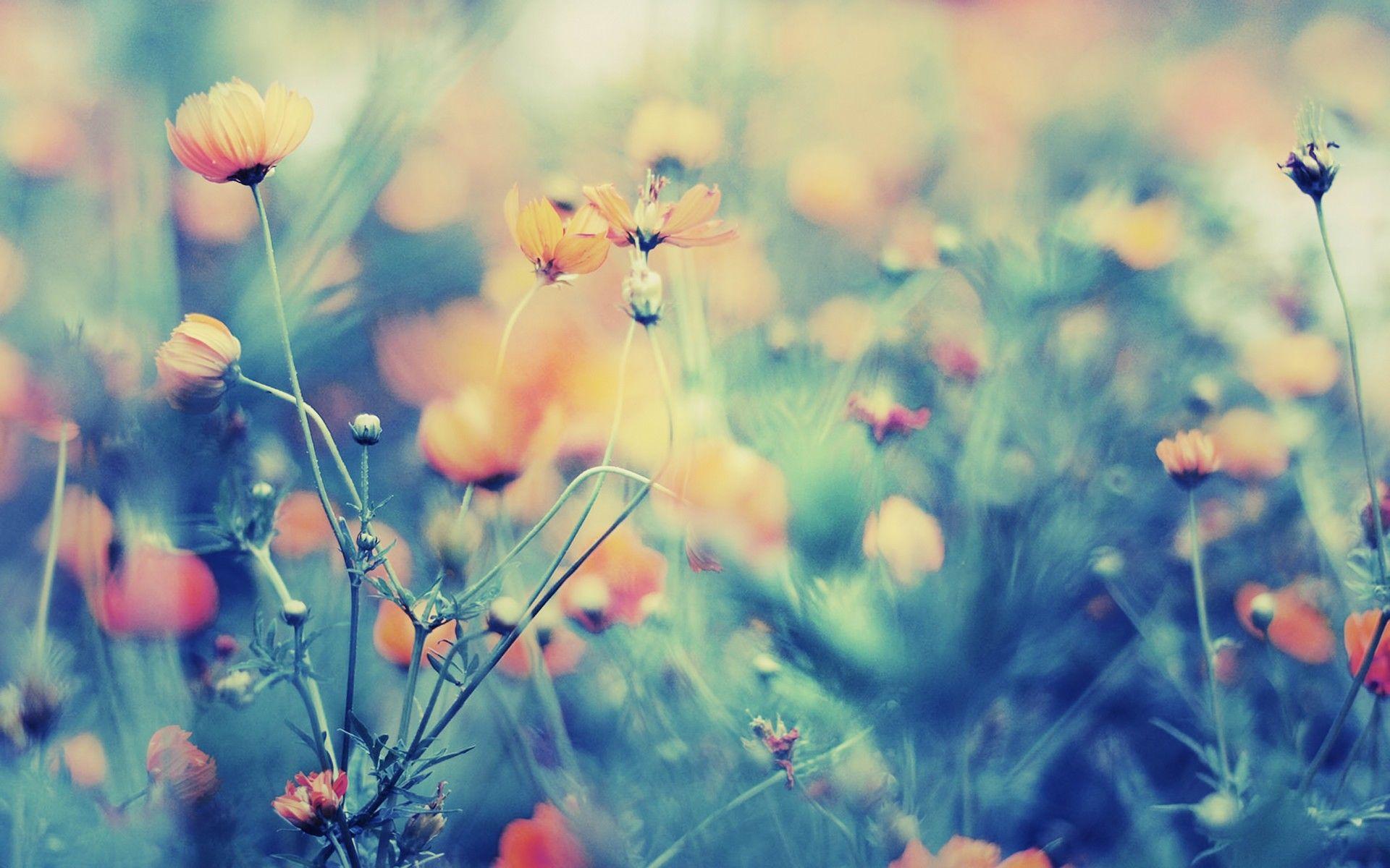 大学生误入传销窝点救出所有人,大学生误入传销组织路边获救