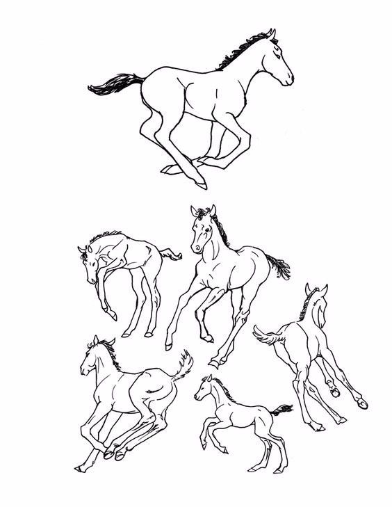 简笔画人物教程大全零基础成人,1000个适合零基础的简笔画教程