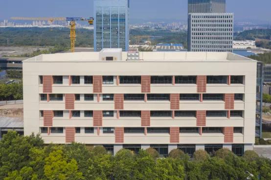 “双减”在两江|金山·云翠小学：关注学生个性发展让教育“智慧”更“至善”