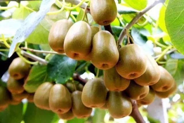 绍兴上虞覆卮山居民宿房间,嵊州覆卮山度假酒店