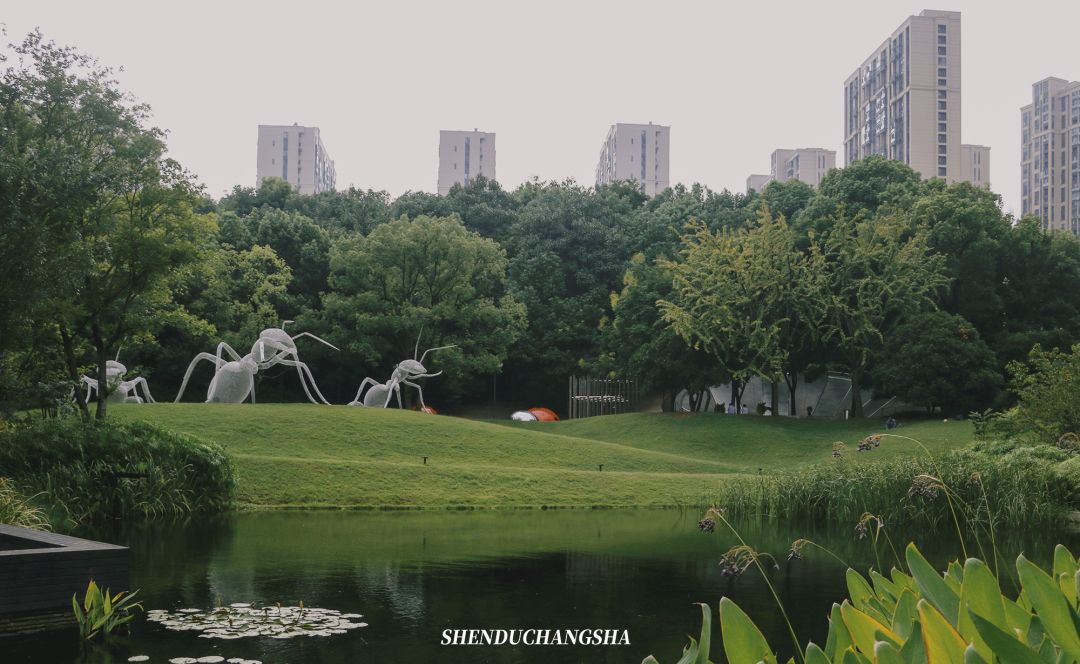 长沙旅游攻略必去的十大景点推荐,长沙旅游攻略必去十大景点免费