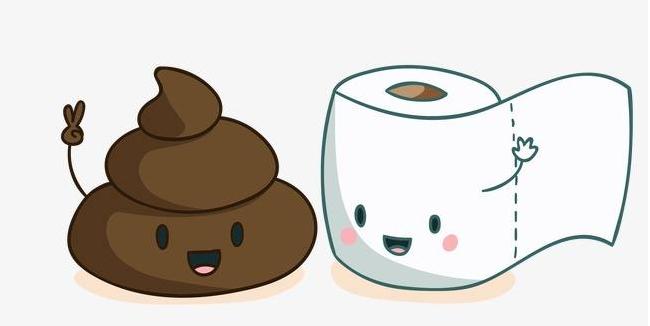 养泰迪的四大忌,不要养狗小心10种病