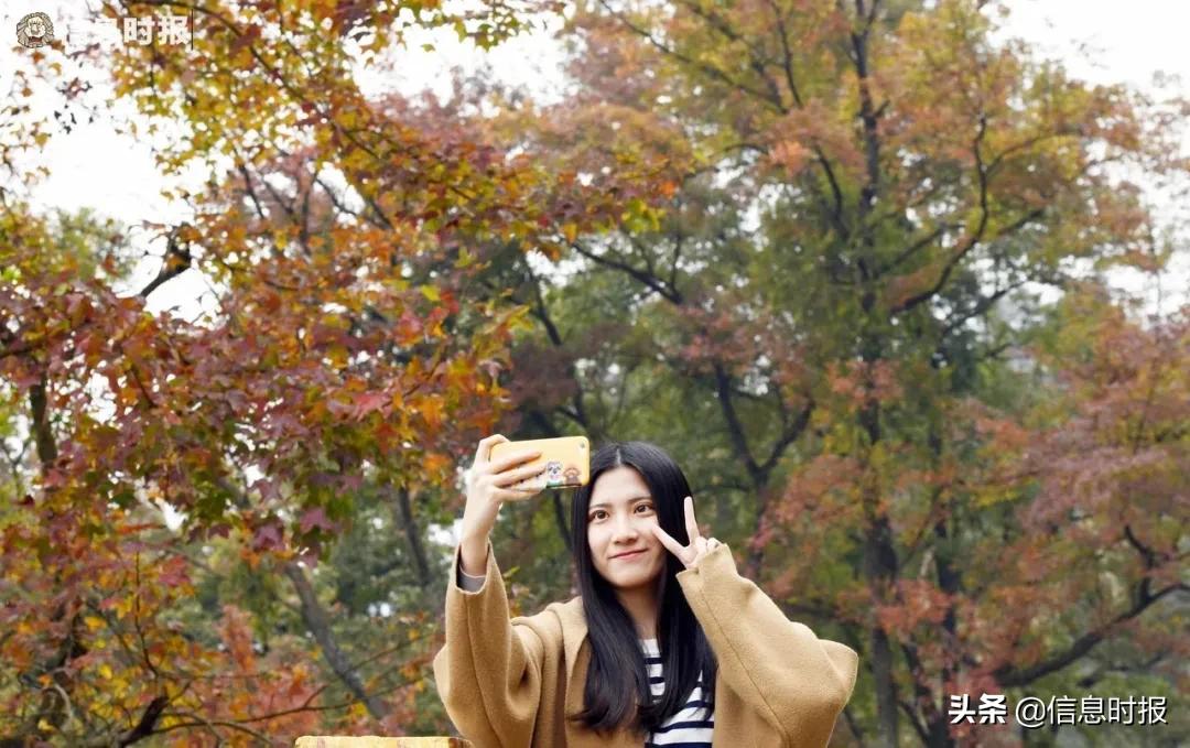 五一去广州旅游攻略路线,五一从广州出发去哪里好玩