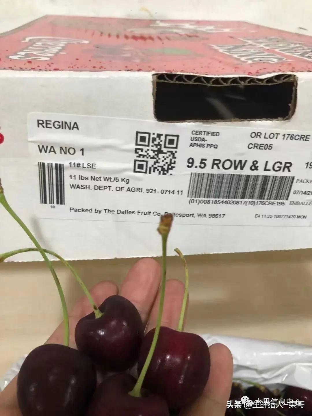 车厘子包装等级划分,车厘子标签各种日期形式