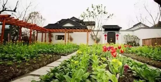 多利成都农庄门票,多利农庄门票