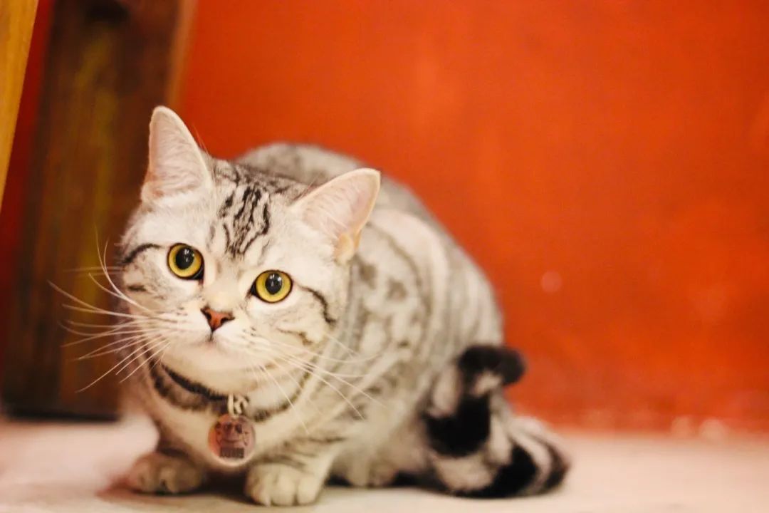 贵阳喷水池附近夜市在哪里,贵阳夜市小吃一条街喷水池