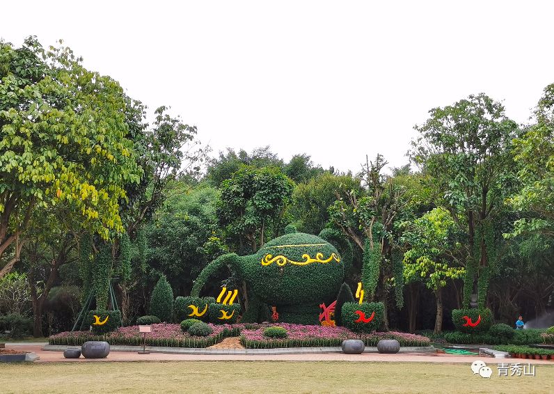 自拍达人全景,南宁自拍拍照博主