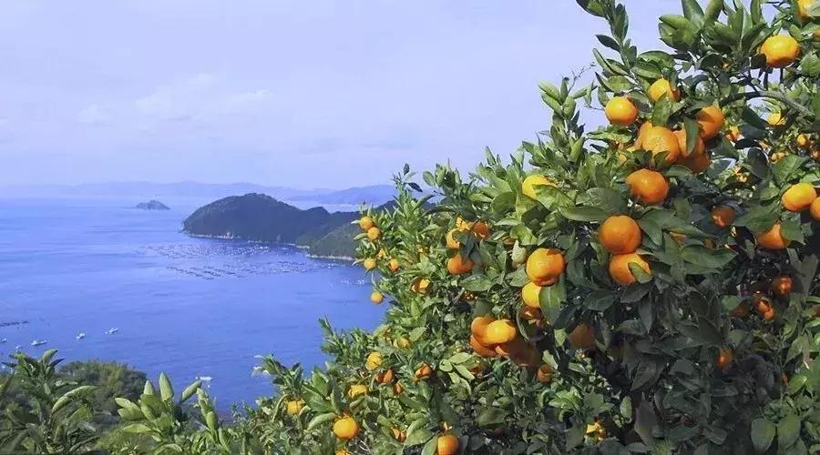 上海超全攻略,上海全天免费最值得去的旅游景点