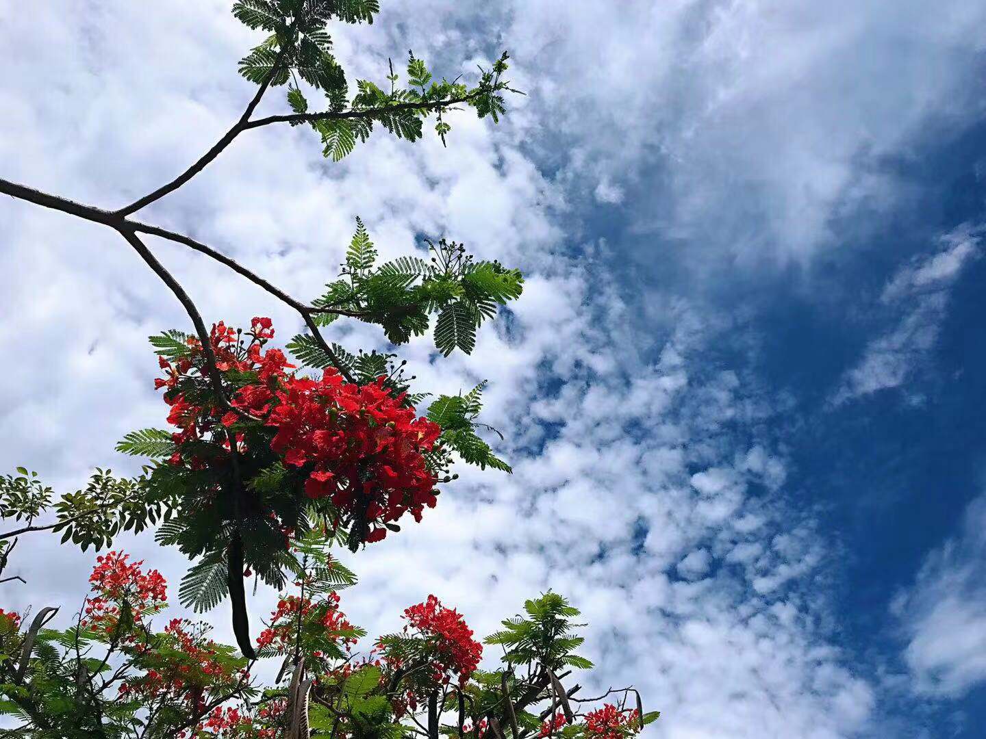 三亚旅游要避开哪些坑,惠旅游是真的假的