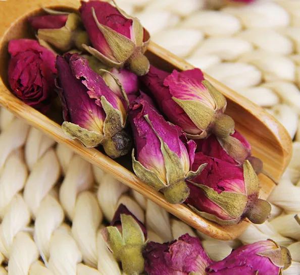 玫瑰和月季功效的区别,玫瑰和月季花托的区别图解