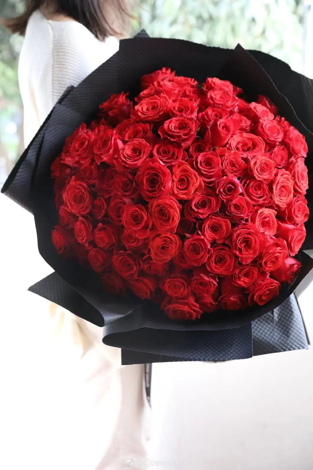 经典玫瑰鲜花,99朵玫瑰花束网红款