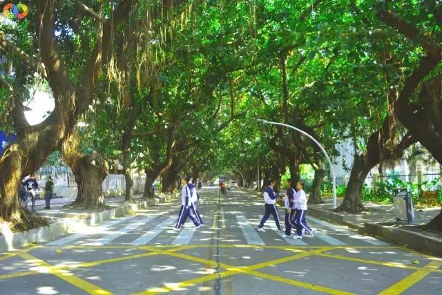 从平安路到桃园路的旧街，独属于老香洲的记忆