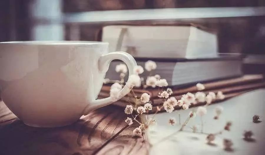 见物如面的下一句,见物如面下一句