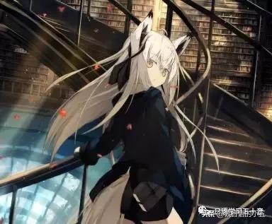 学习《日语入门》课程感悟,学习日语基础知识的步骤与技巧