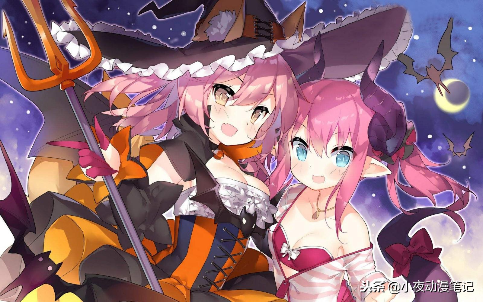 fgo龙娘,fgo龙娘和伊丽莎白