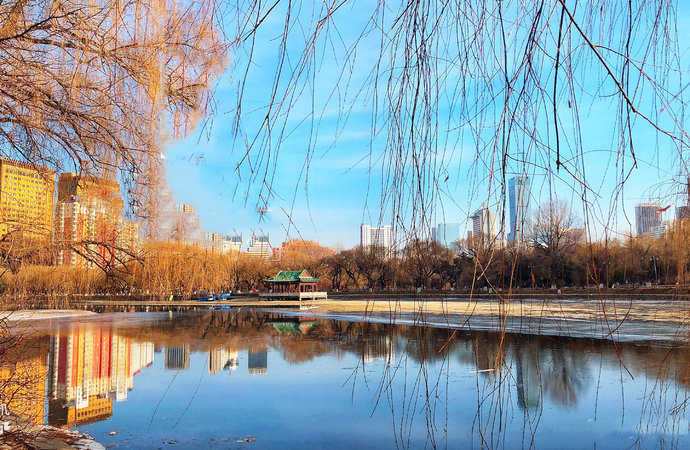 沈阳旅游攻略1天游玩路线,去沈阳都去哪里旅游好点