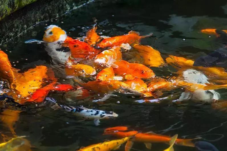 巴适自驾旅游攻略,巴适小众公园