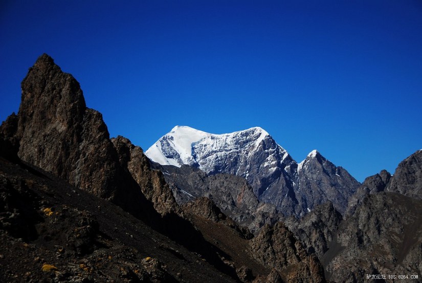 狼c调简谱教唱,狼c