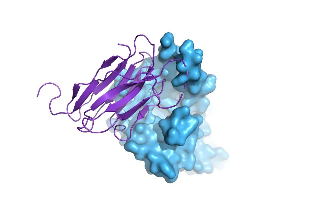 晶准生物医学,晶准生物医药有限公司