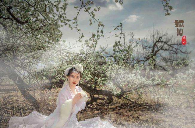 聊斋志异阿绣最后结局,聊斋志异刘子固和阿秀