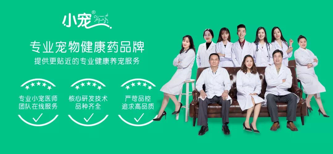 毛孩子春季驱虫的重要性,春季宠物驱虫指导大全