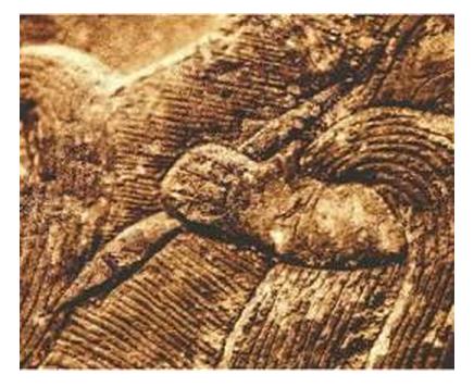 转字毛笔写法教学,初学毛笔握笔正确姿势有几种