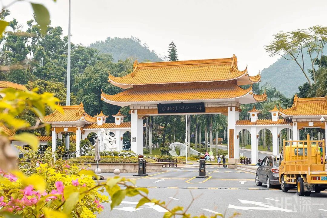 罗湖发达吗,罗湖区的实力到底有多强