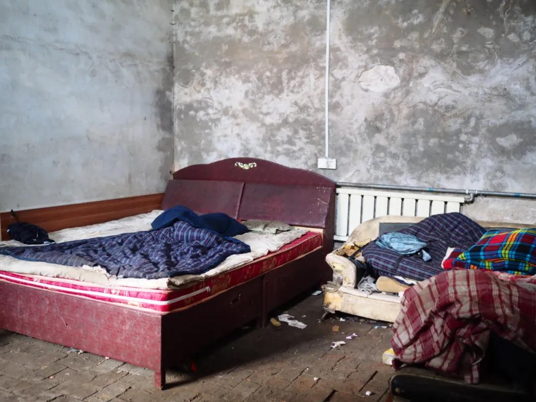 我是一颗小小草，春天何时到