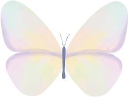 检察院新警入警培训,检察院初任培训